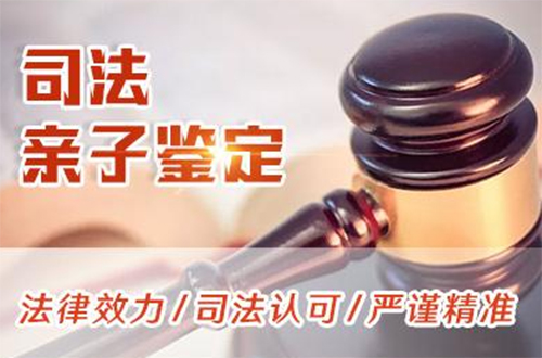 楚雄司法DNA亲子鉴定怎么做,楚雄司法亲子鉴定需要多少钱