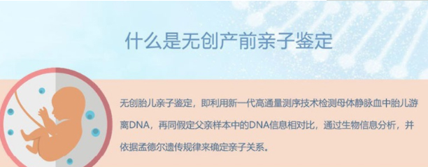 怀孕了楚雄需要怎么办理胎儿亲子鉴定,在楚雄怀孕期间做亲子鉴定准确吗